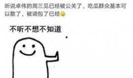 卓伟爆料海清视频播放全集,揭秘娱乐圈背后的真相