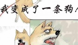 可笑的吃瓜小说免费阅读,揭秘吃瓜小说免费阅读背后的趣味世界