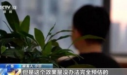 娱乐圈爆料骗局揭秘视频,揭秘幕后真相，还原明星真实生活